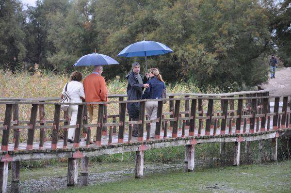 Photo of Others in Granatula de Calatrava