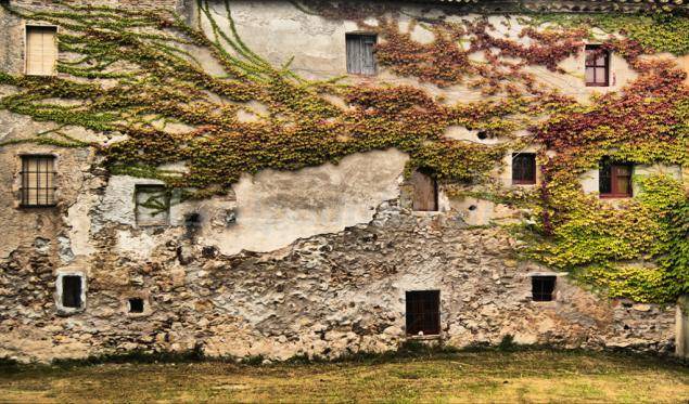 Photo of Others in Sant Sadurni de l'Heura