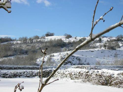 Photo of Others in Fontibre
