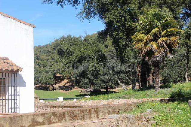 Photo of Others in Aracena