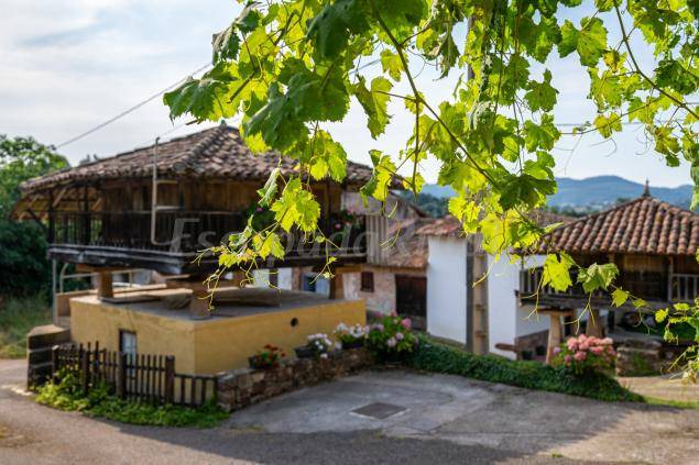 Photo of Others in Villaviciosa