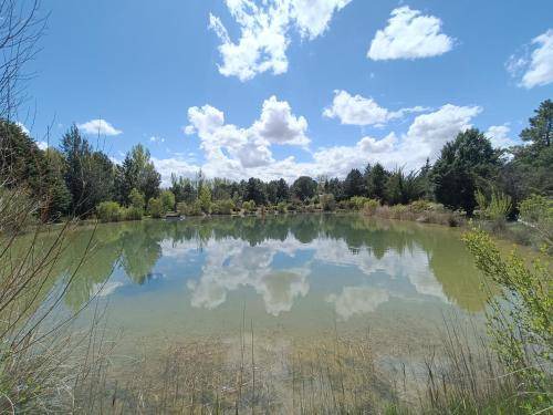 Photo of Others in El Burgo de Osma