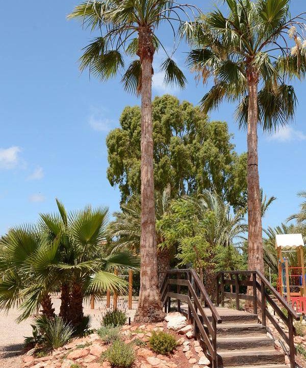 Photo of Others in El Algar