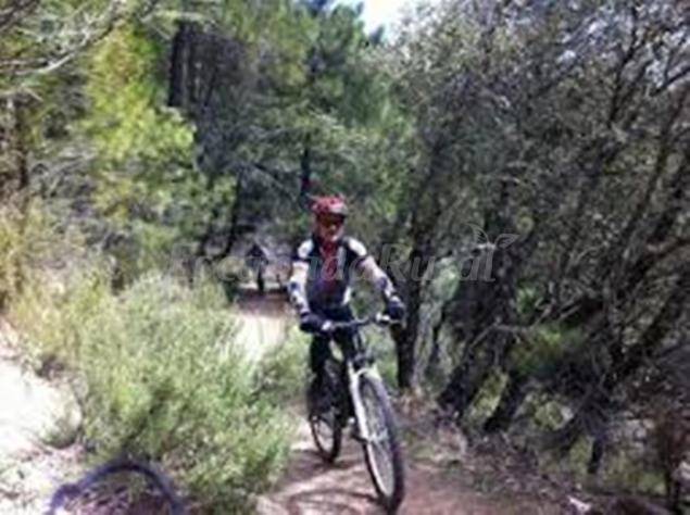 Photo of Others in Fuentes de Ebro