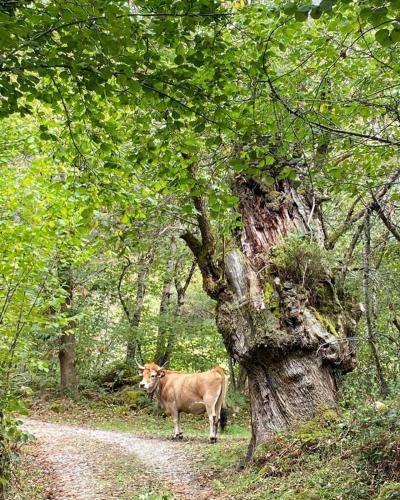 Photo of Others in Pilona
