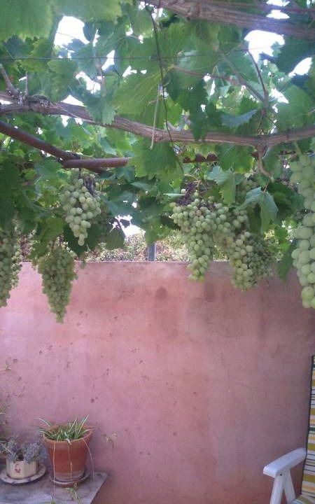 Photo of Others in Sorbas