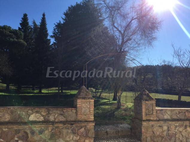 Photo of Others in Aracena