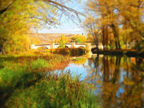 Photo of Outdoor in Soria