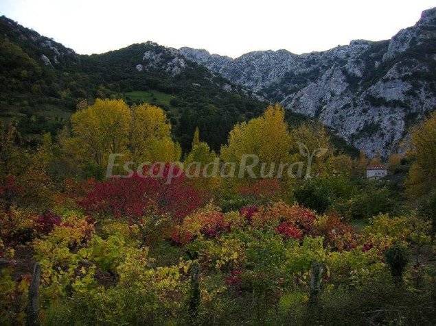 Photo of Others in Cillorigo de Liebana