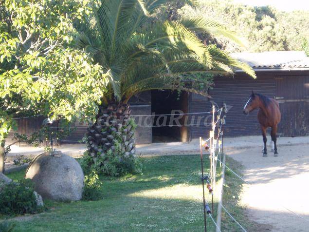 Photo of Others in Romanya de la Selva