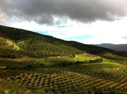 Photo of Others in Jaen