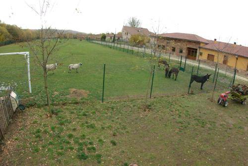 Photo of Others in Arlanzon