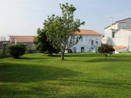 Photo of Buildings in Fene