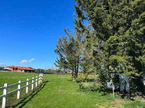 Photo of Outdoor in Loredo