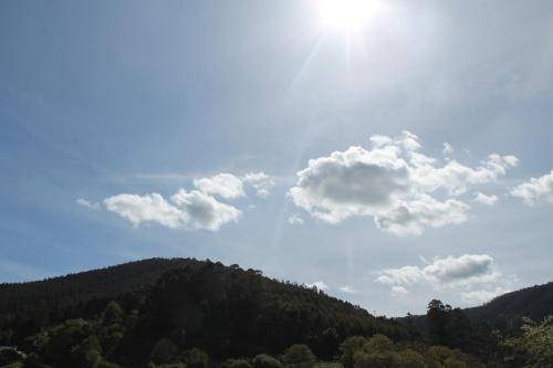 Photo of Others in Viveiro