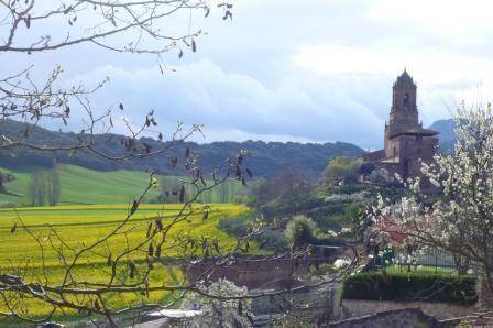 Photo of Others in Azuelo