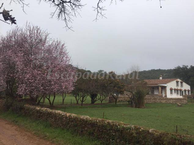 Photo of Others in Aracena