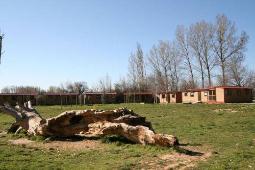 Photo of Others in Arlanzon