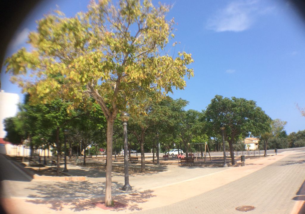 Photo of Outdoor in La Marina
