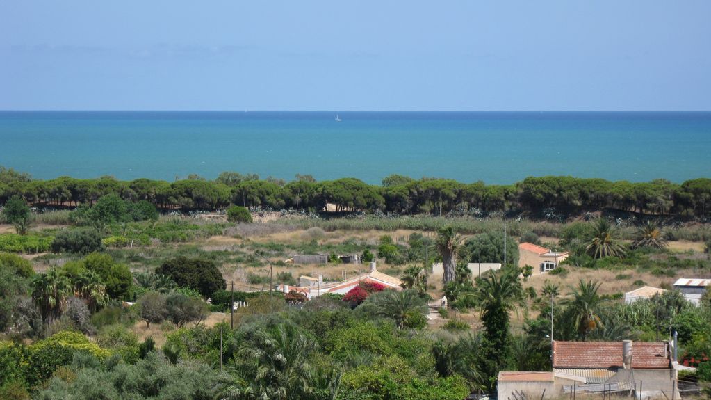 Photo of Others in La Marina