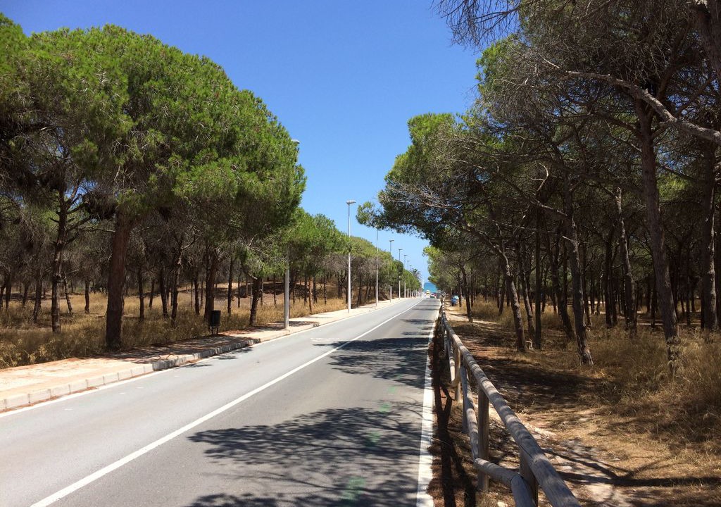 Photo of Outdoor in La Marina