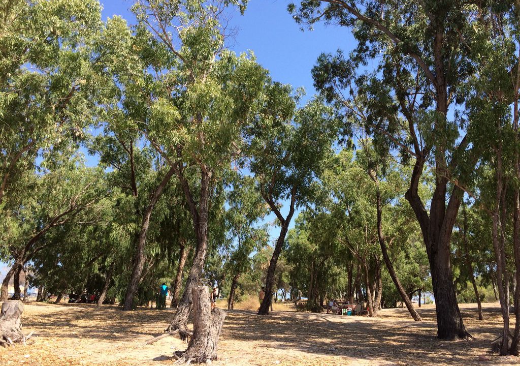 Photo of Outdoor in La Marina