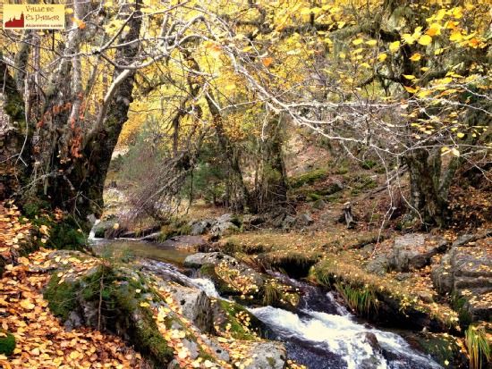 Photo of Outdoor in Rascafria