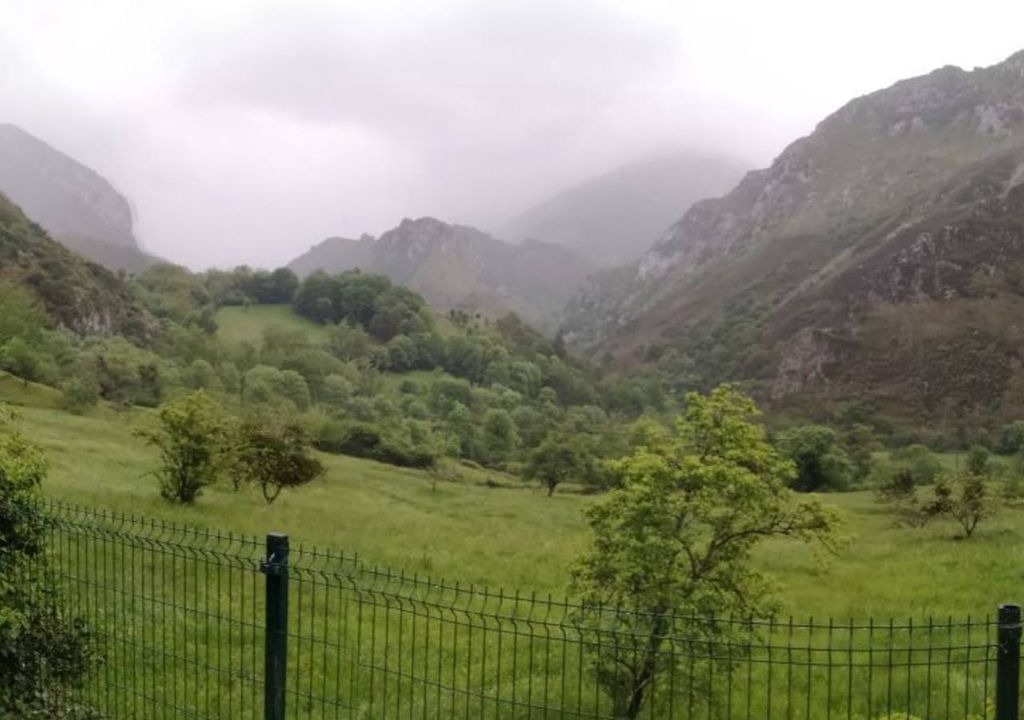 Photo of Outdoor in Sames