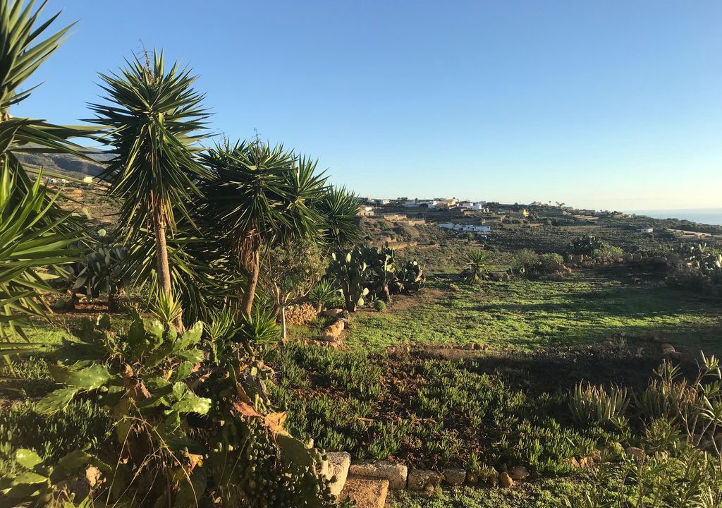 Photo of Outdoor in Los Gavilanes