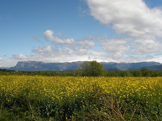 Photo of Outdoor in Ainsa-Sobrarbe