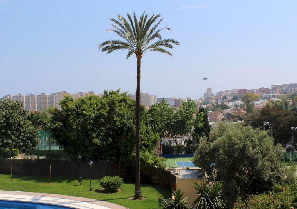 Photo of Outdoor in Torremolinos