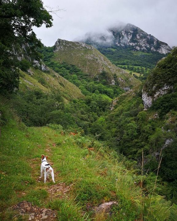 Photo of Outdoor in Sames