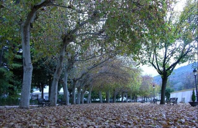 Photo of Others in Beas de Segura