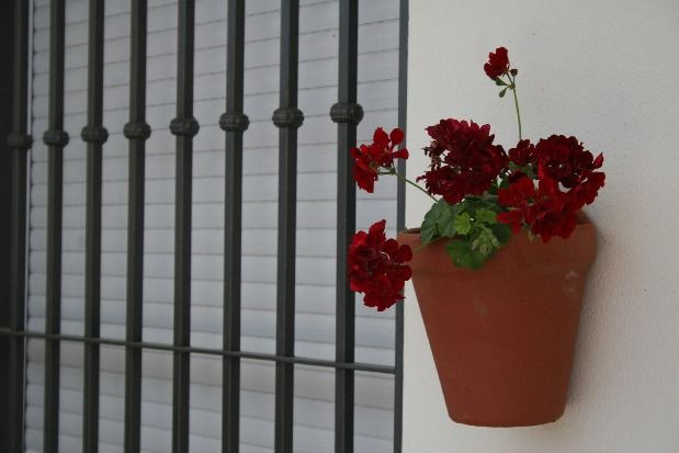 Photo of Others in Beas de Segura