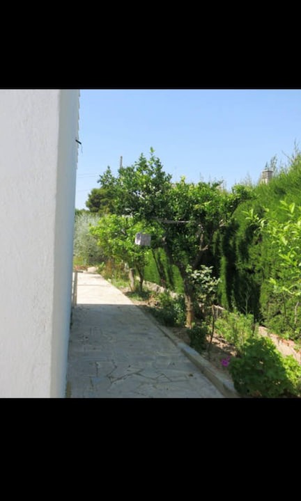 Photo of Others in Calafat