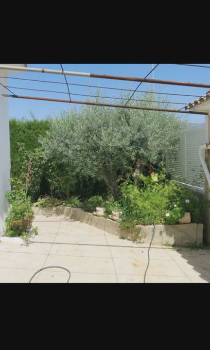 Photo of Others in Calafat