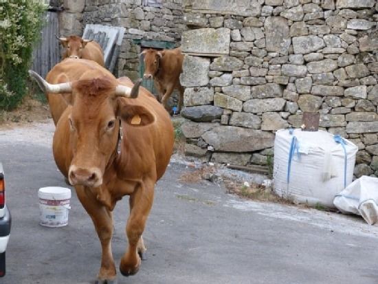 Photo of Human In Picture in San Xoan de Rio