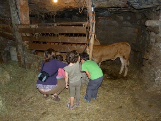 Photo of Others in San Xoan de Rio
