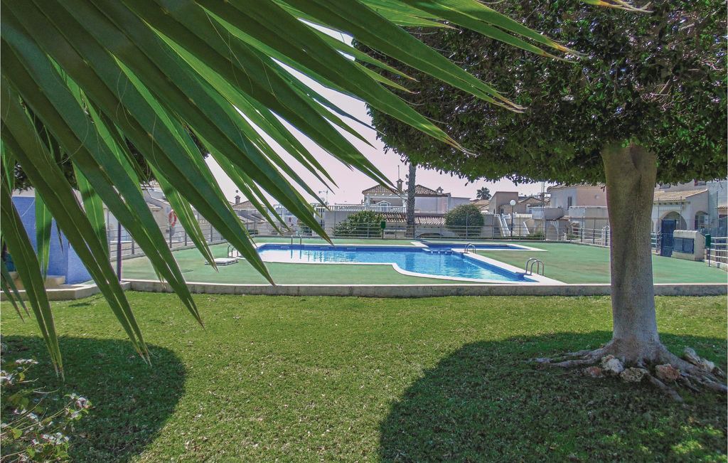 Photo of Outdoor in Los Altos