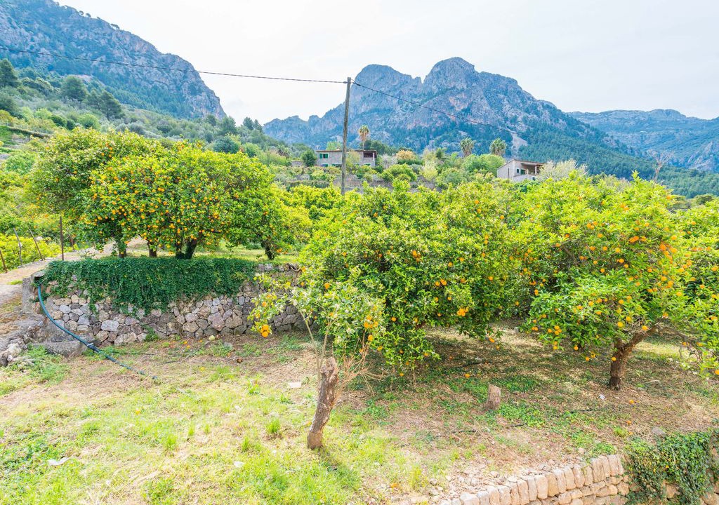 Photo of Outdoor in Biniaraix