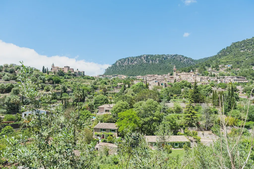 Photo of Outdoor in S'Arxiduc