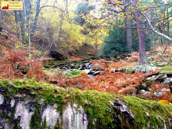 Photo of Outdoor in Rascafria