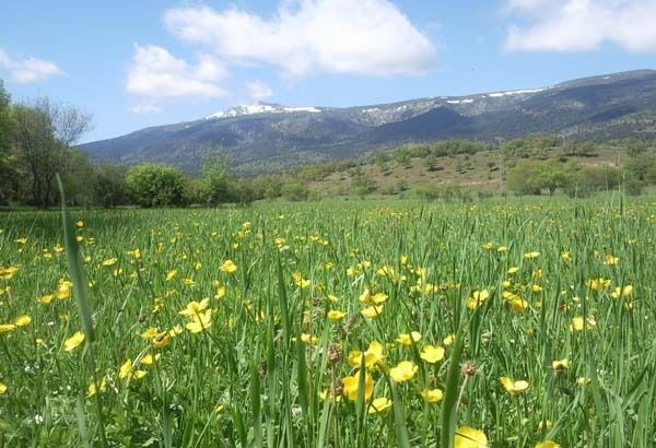 Photo of Outdoor in Rascafria