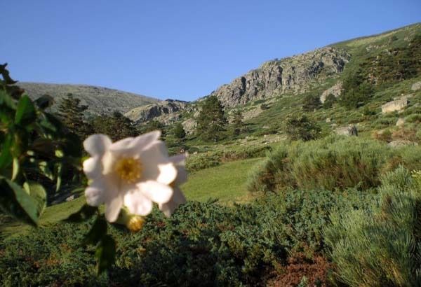 Photo of Outdoor in Rascafria