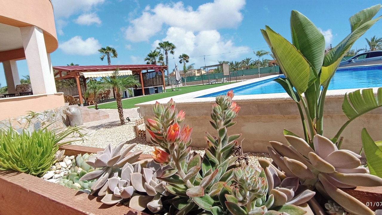 Photo of Outdoor in Elche