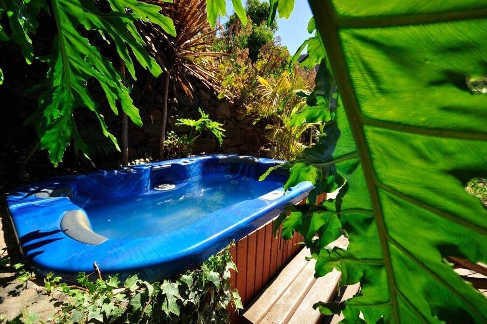 Photo of Outdoor in Vega de San Mateo