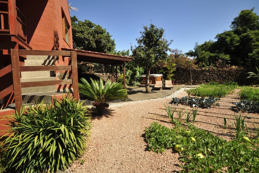 Photo of Outdoor in Vega de San Mateo