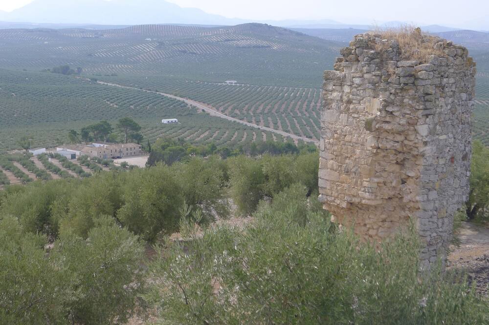 Photo of Others in Torredonjimeno