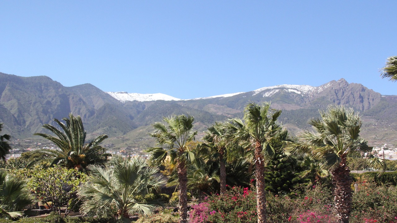 Photo of Outdoor in Guimar