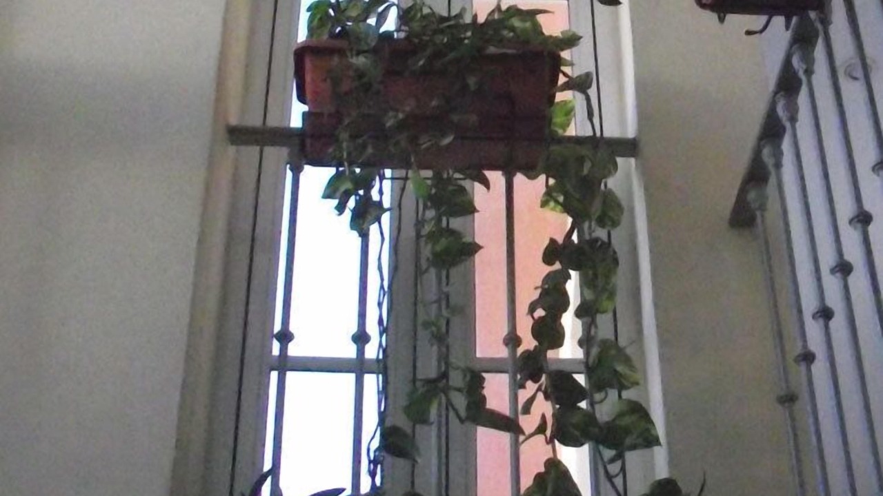 Photo of Others in Fuengirola City Centre